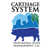 Представляем вашему вниманию – Carthage System – Глобальный Мега-производитель 